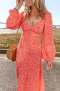 Printed V-Neck Long Sleeve Midi Dress